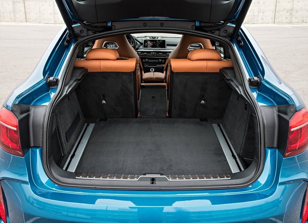2016 - BMW X6 M, foto 158