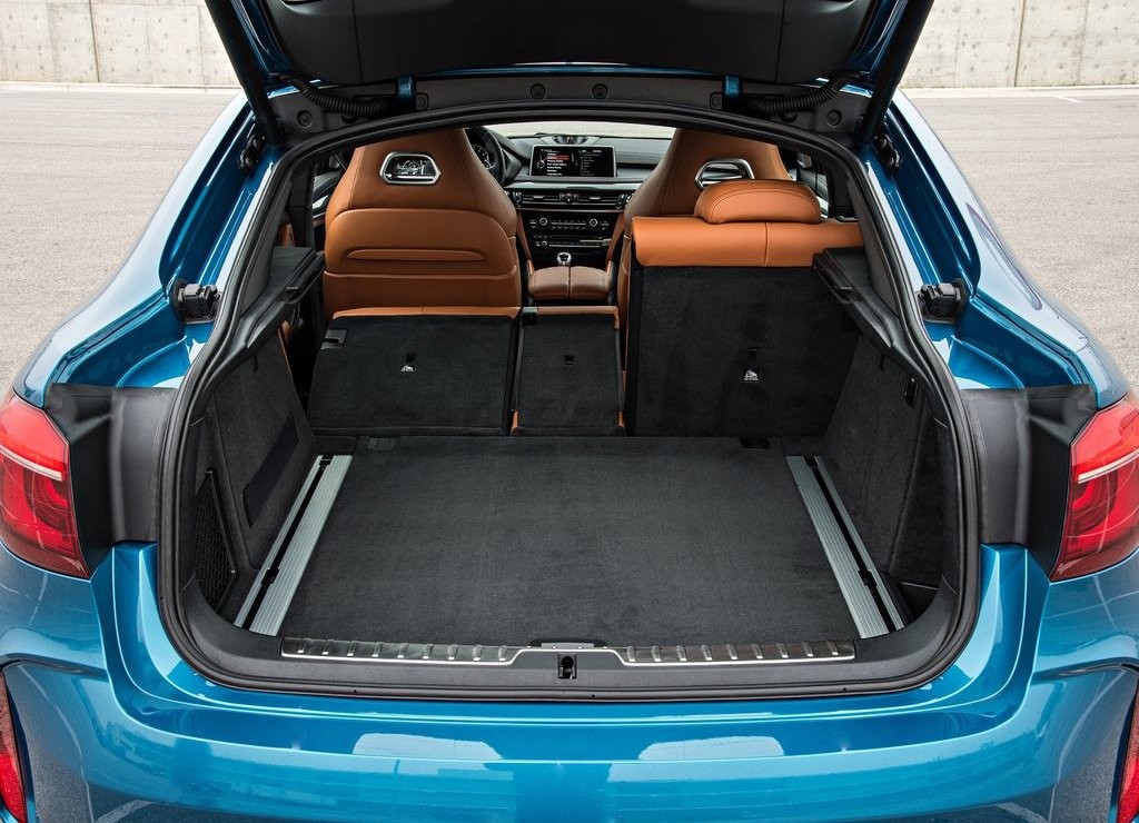 2016 - BMW X6 M, foto 159