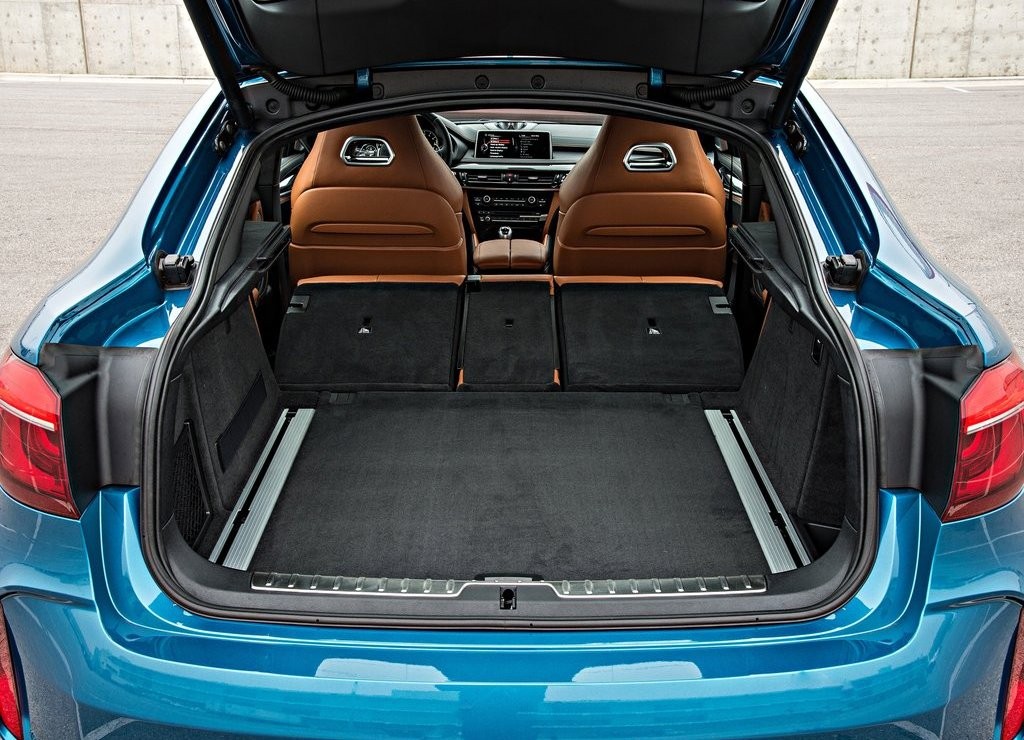 2016 - BMW X6 M, foto 160