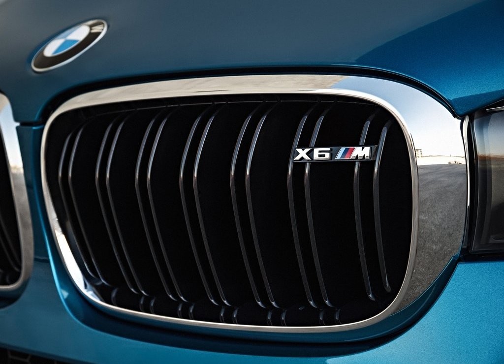 2016 - BMW X6 M, foto 163