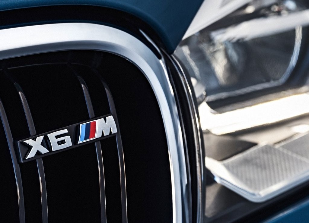 2016 - BMW X6 M, foto 164