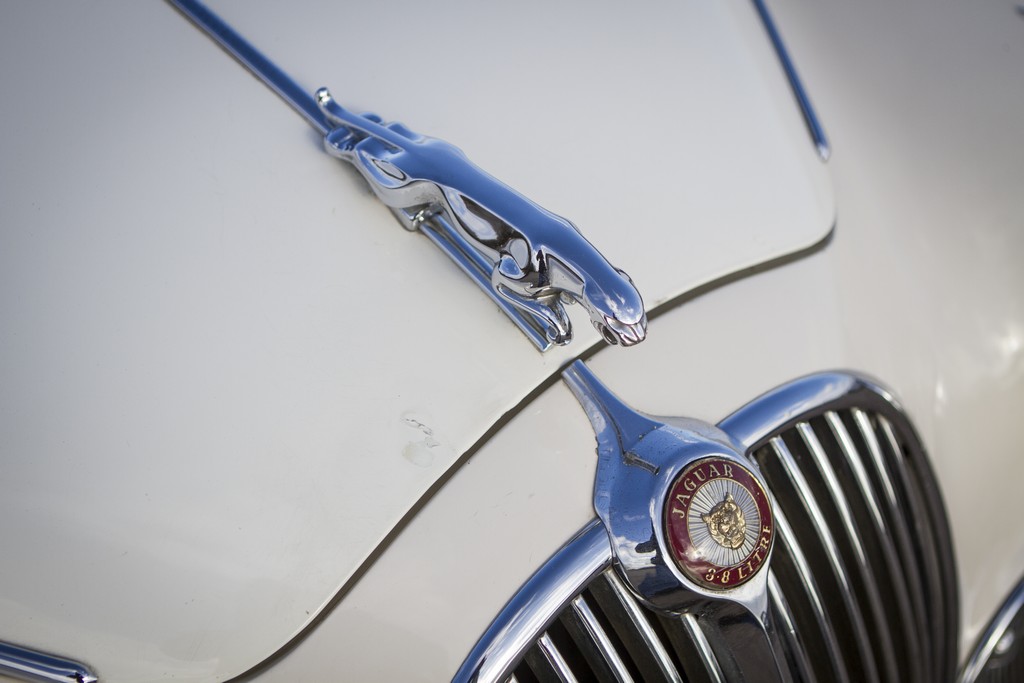 JAGUAR HERITAGE CHALLENGE, foto 10