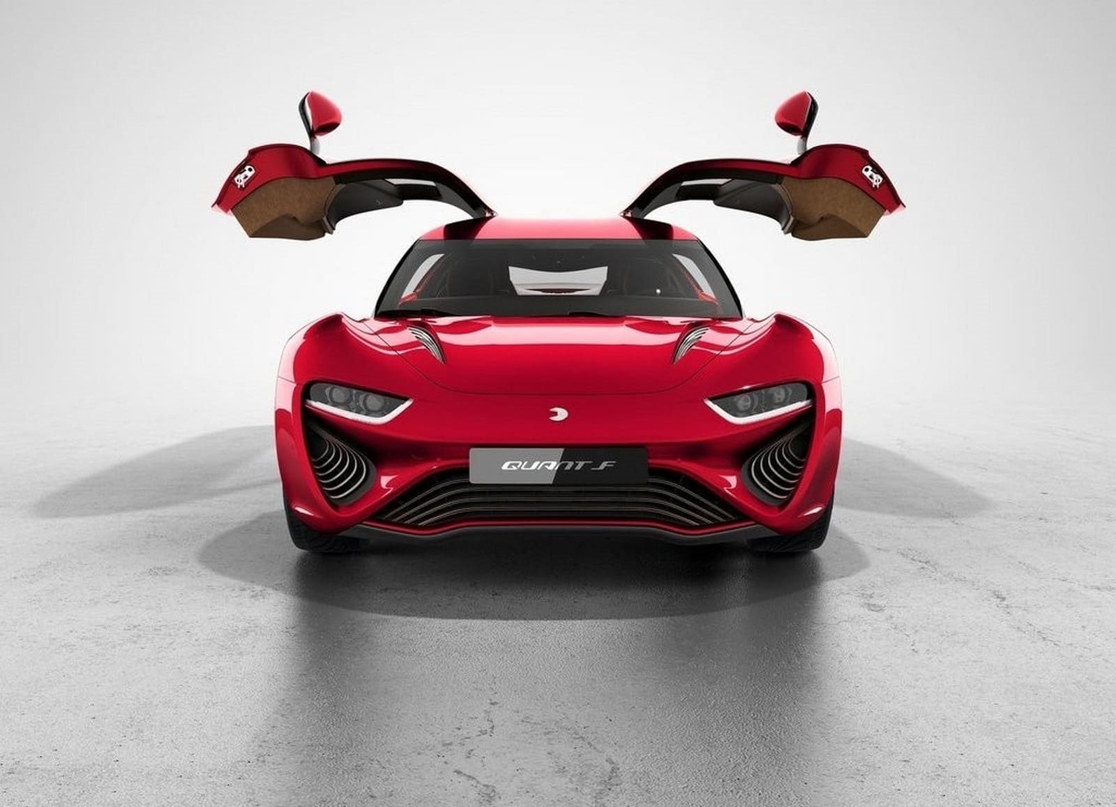 2015 - NANOFLOWCELL QUANT F, foto 4