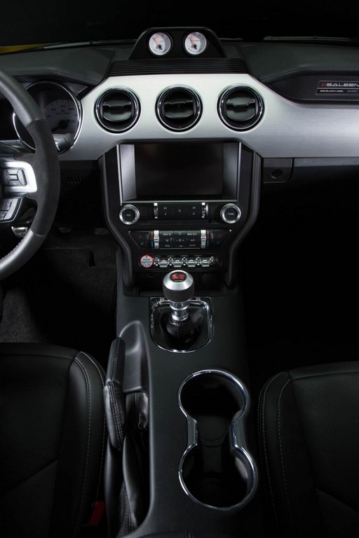 2015 - FORD MUSTANG S302 BLACK LABEL BY SALEEN, foto 9