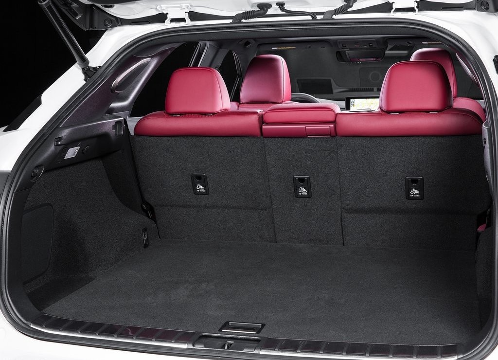 2016 - LEXUS RX 350 F SPORT, foto 53