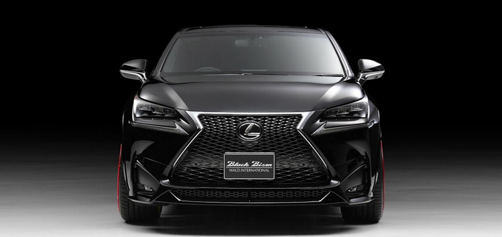 2015 - LEXUS NX BLACK BISON BY WALD, foto 1