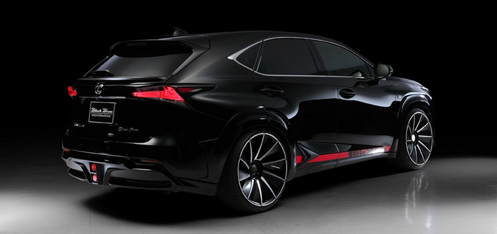 2015 - LEXUS NX BLACK BISON BY WALD, foto 4