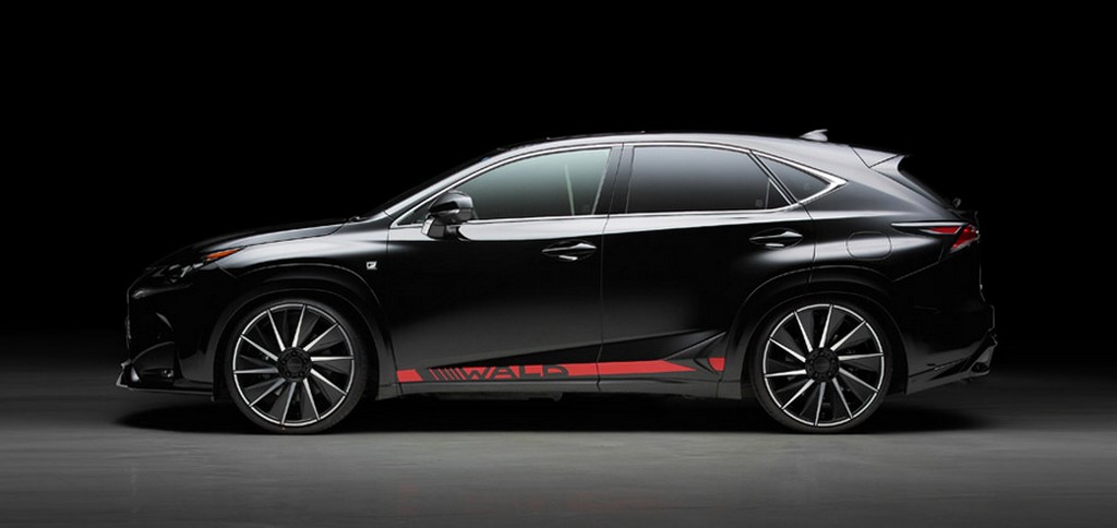 2015 - LEXUS NX BLACK BISON BY WALD, foto 5