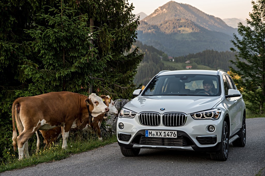 2016 - BMW X1, foto 153