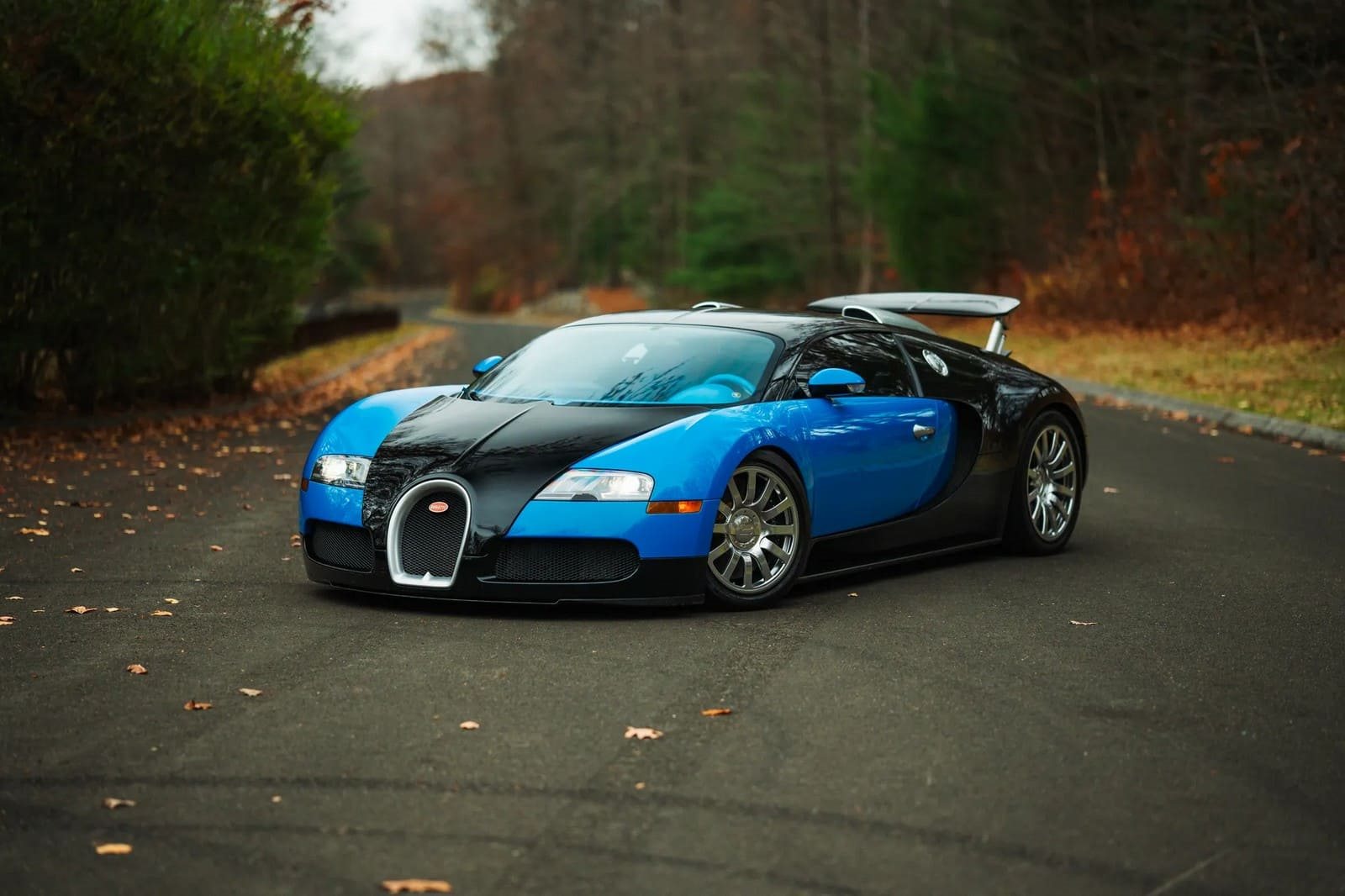 2008 - BUGATTI VEYRON BLUE, foto 1