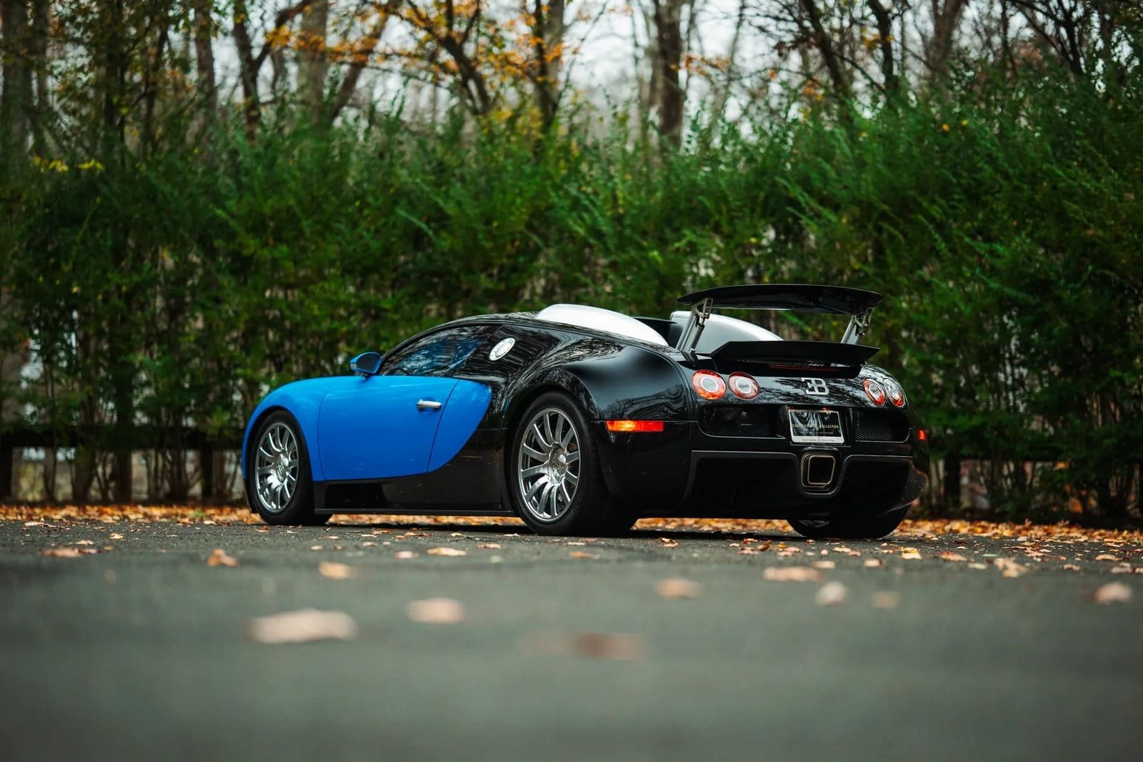 2008 - BUGATTI VEYRON BLUE, foto 2