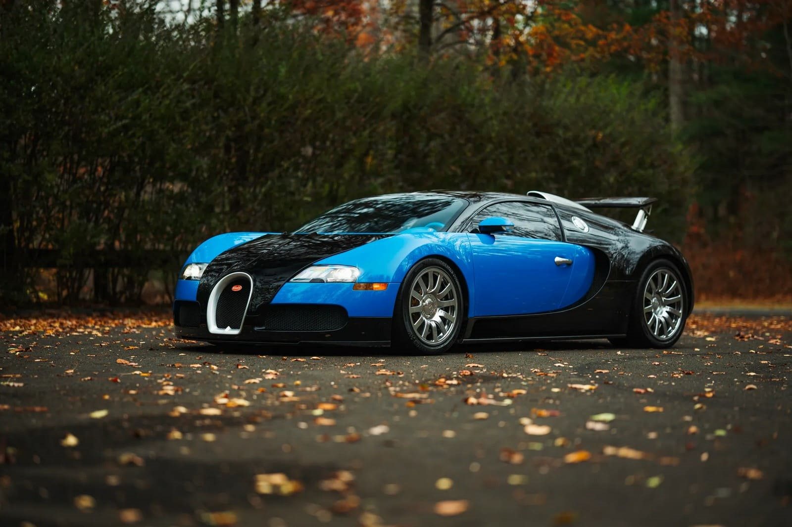 2008 - BUGATTI VEYRON BLUE, foto 3