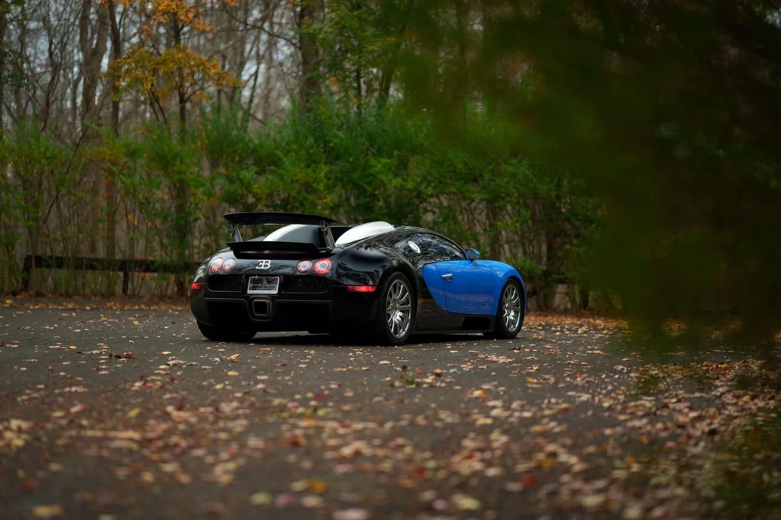 2008 - BUGATTI VEYRON BLUE, foto 5