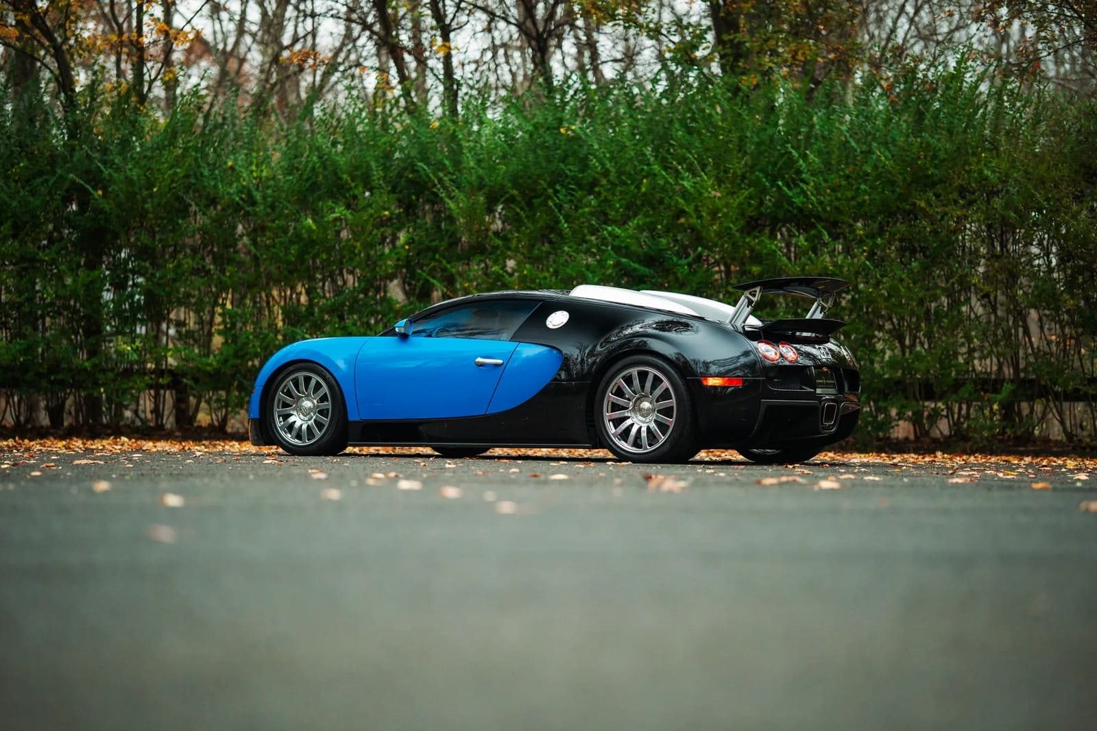 2008 - BUGATTI VEYRON BLUE, foto 7