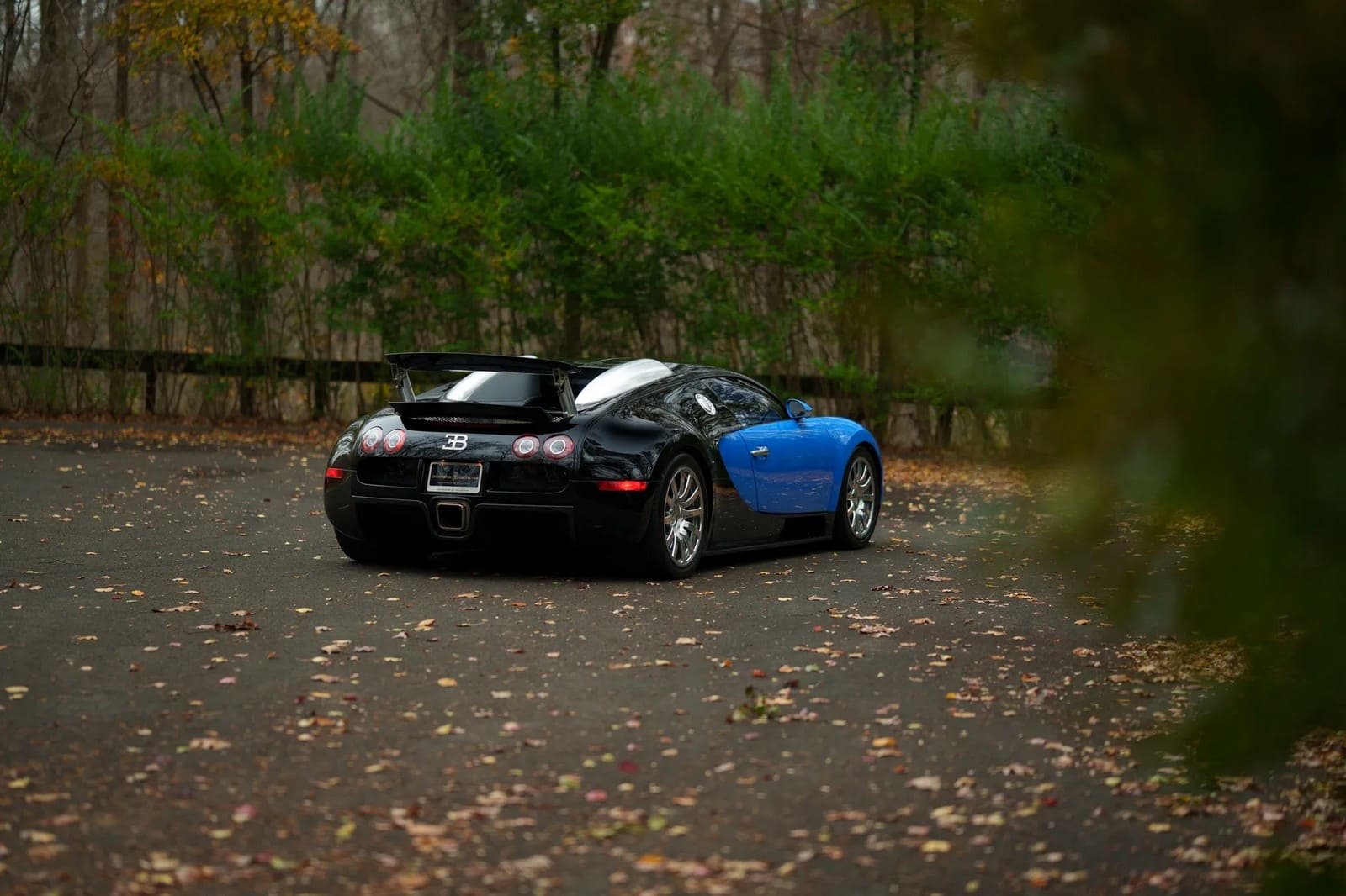 2008 - BUGATTI VEYRON BLUE, foto 8