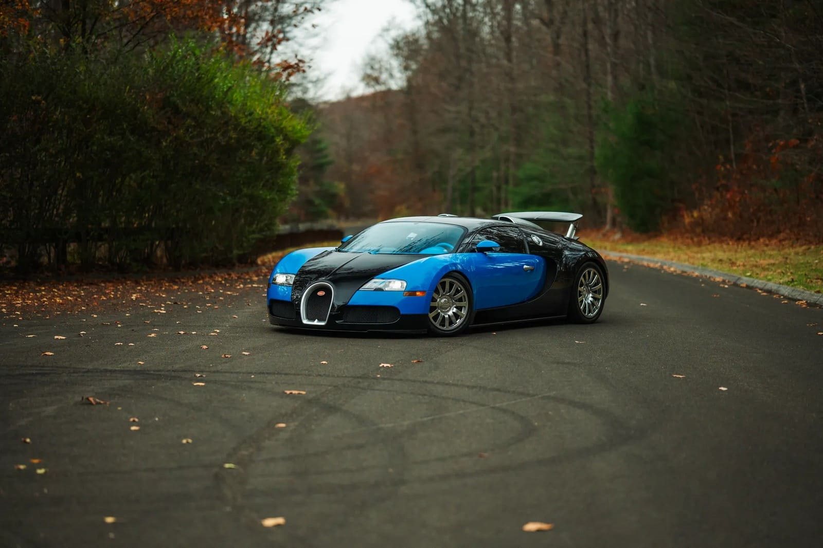 2008 - BUGATTI VEYRON BLUE, foto 9
