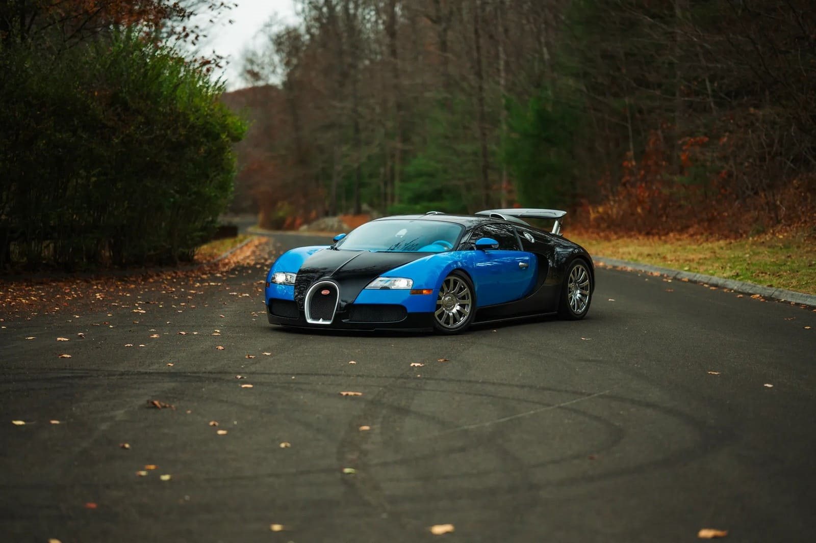 2008 - BUGATTI VEYRON BLUE, foto 10