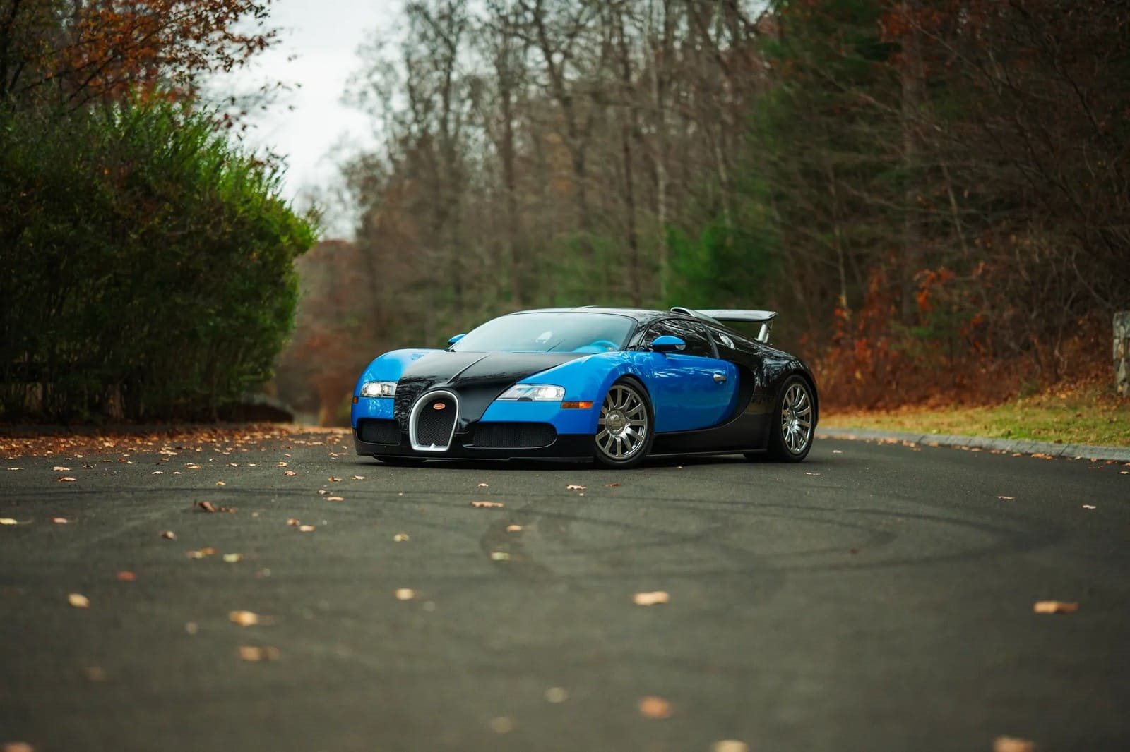 2008 - BUGATTI VEYRON BLUE, foto 11