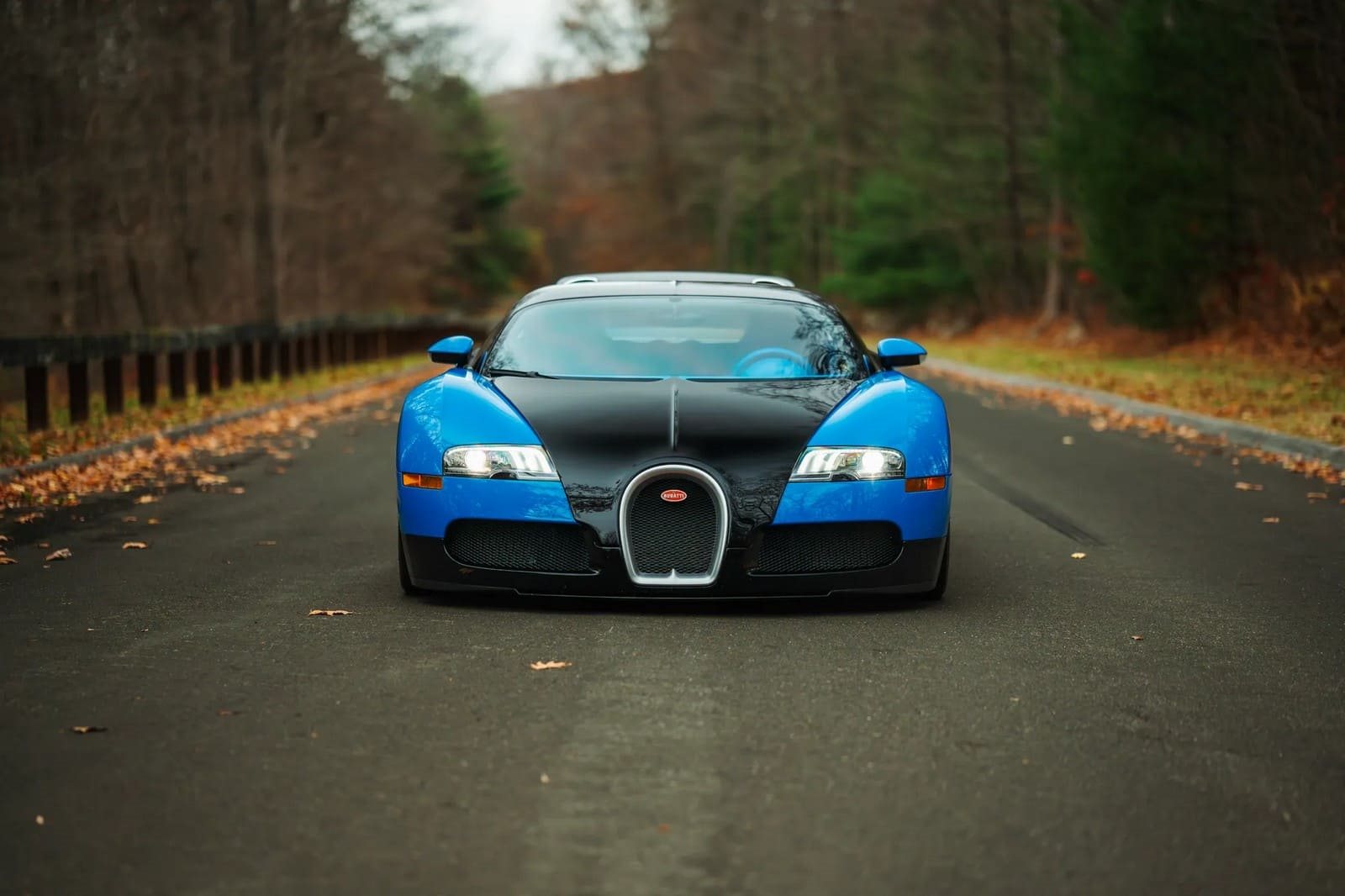 2008 - BUGATTI VEYRON BLUE, foto 12