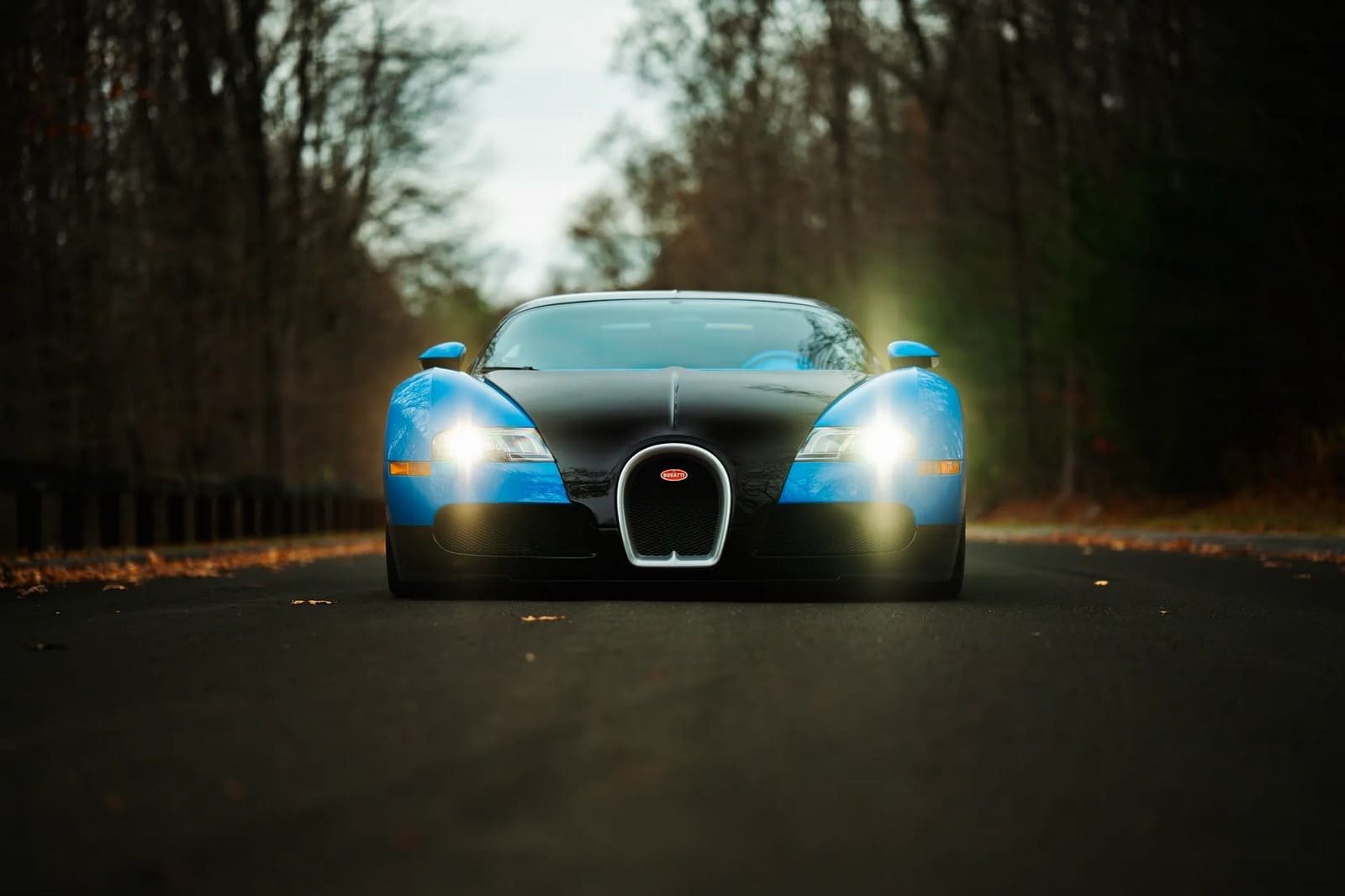 2008 - BUGATTI VEYRON BLUE, foto 13
