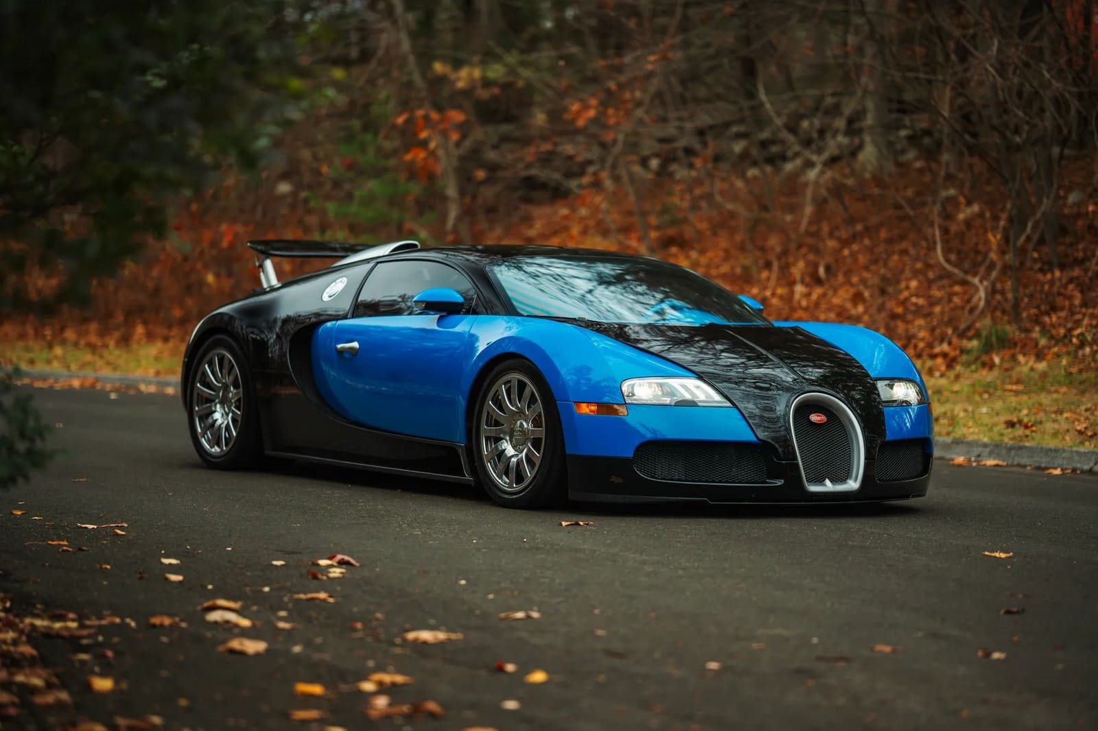 2008 - BUGATTI VEYRON BLUE, foto 14