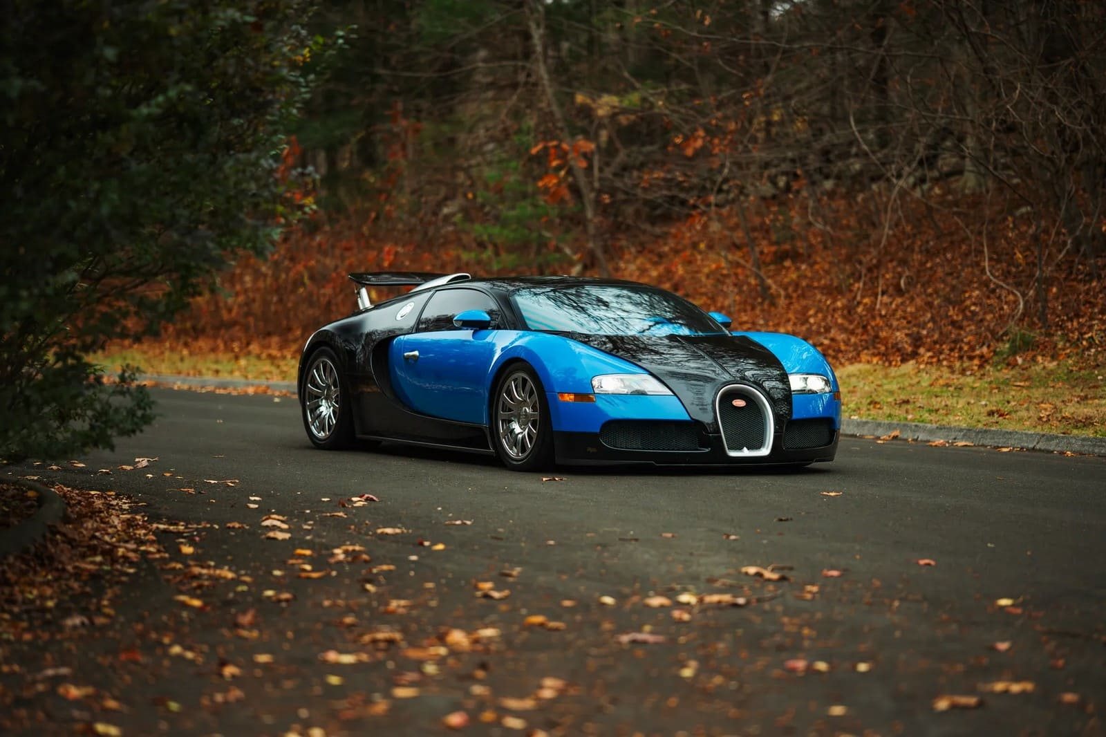 2008 - BUGATTI VEYRON BLUE, foto 15