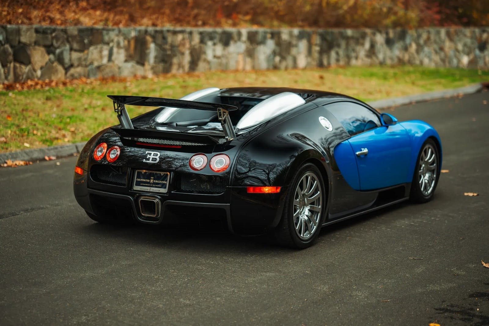 2008 - BUGATTI VEYRON BLUE, foto 16