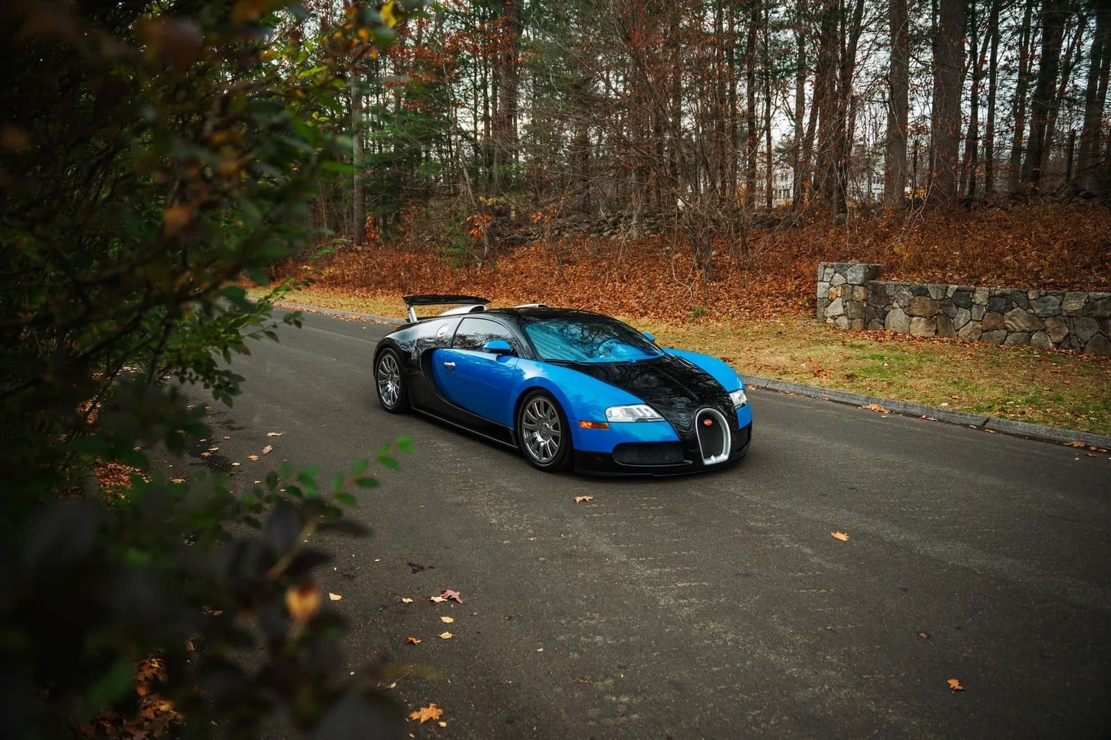 2008 - BUGATTI VEYRON BLUE, foto 17