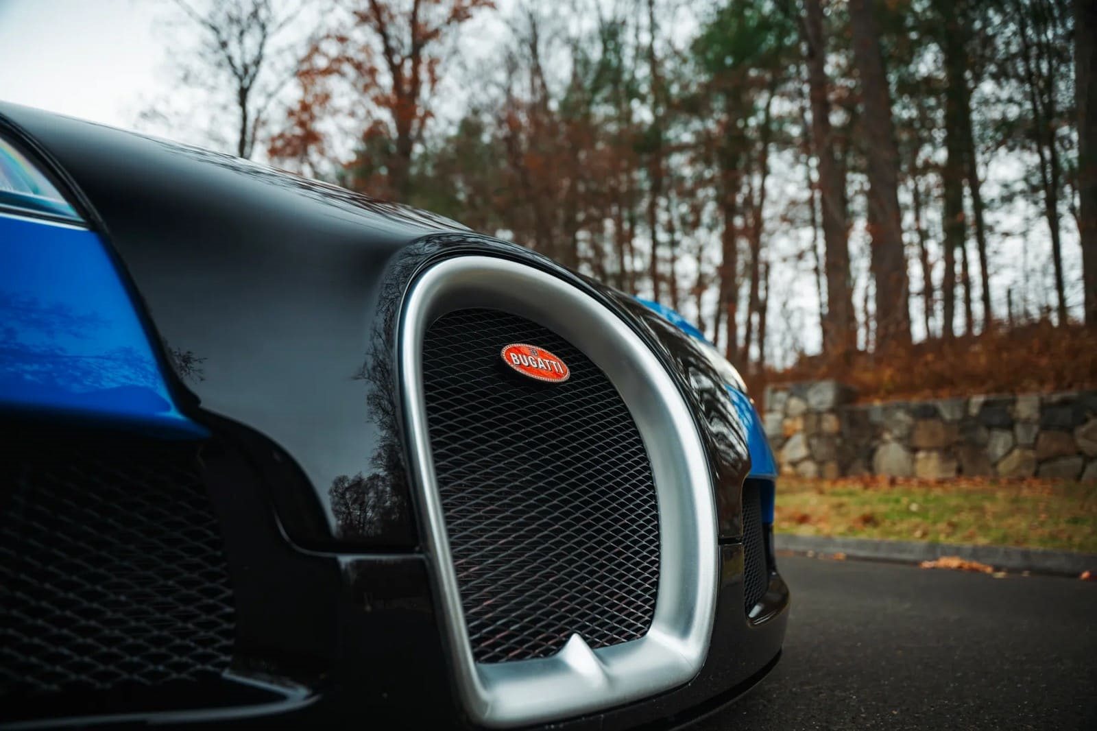 2008 - BUGATTI VEYRON BLUE, foto 18