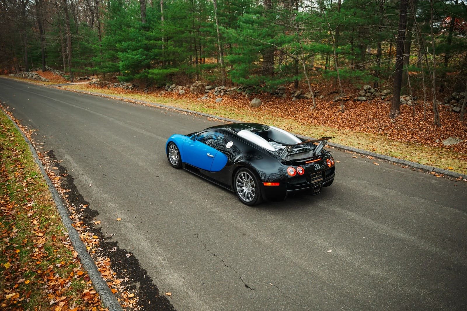 2008 - BUGATTI VEYRON BLUE, foto 19