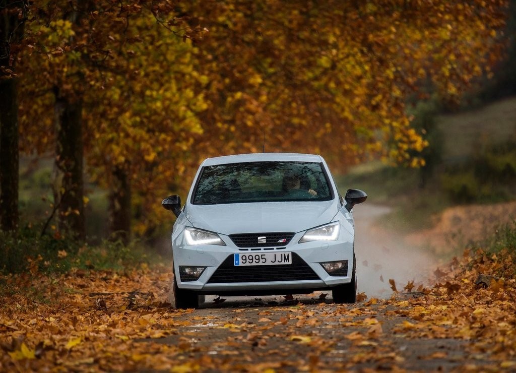 2016 - SEAT IBIZA CUPRA, foto 33