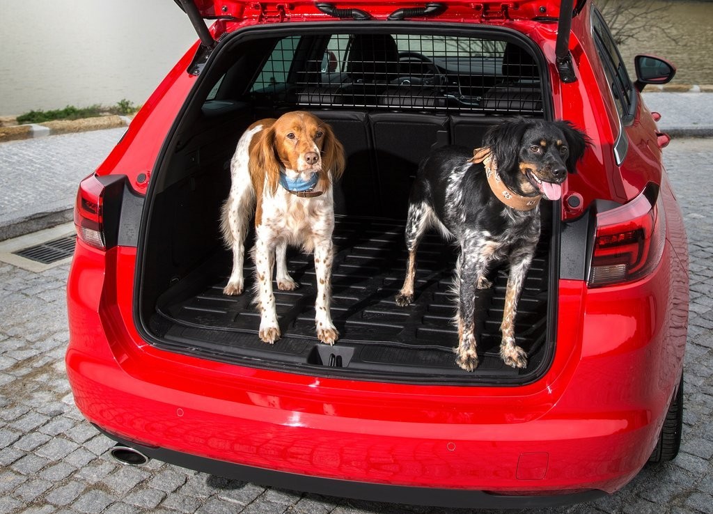OPEL ASTRA SPORTS TOURER, foto 96