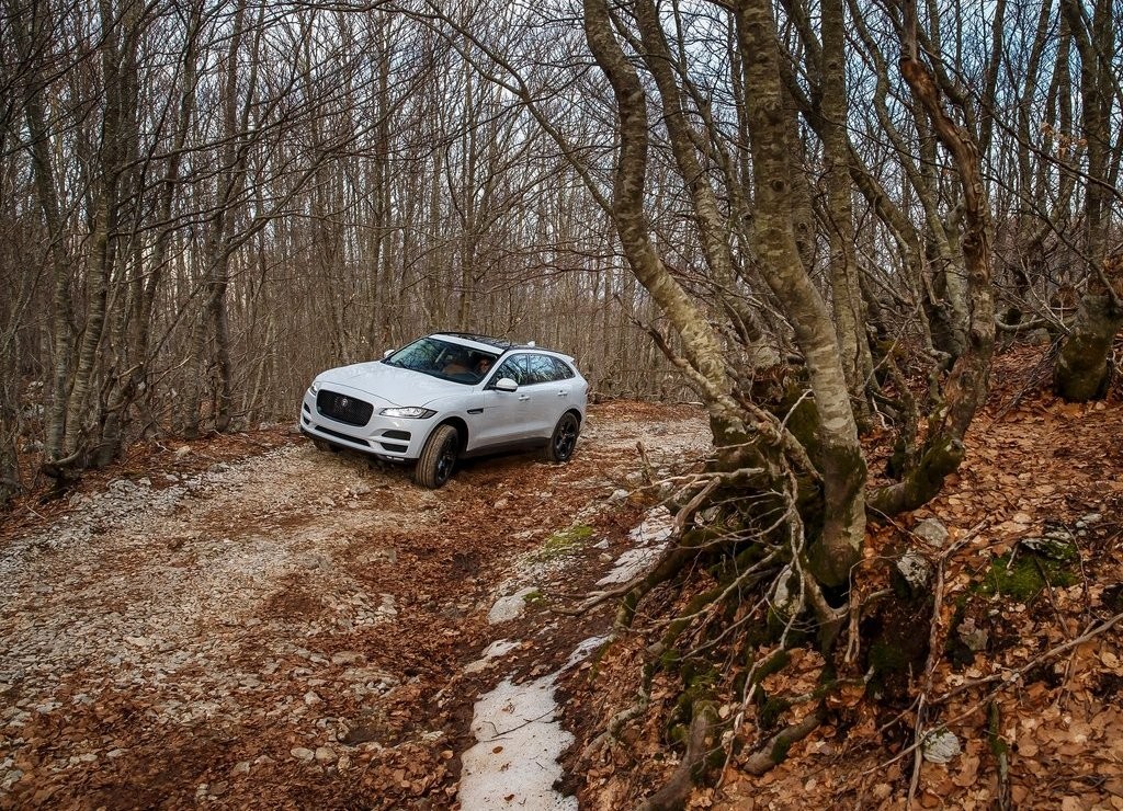 JAGUAR F-PACE, foto 58