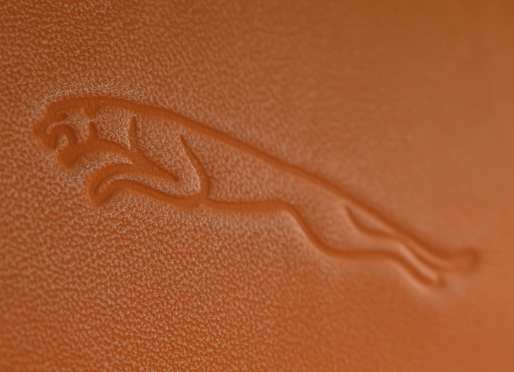 JAGUAR F-PACE, foto 168