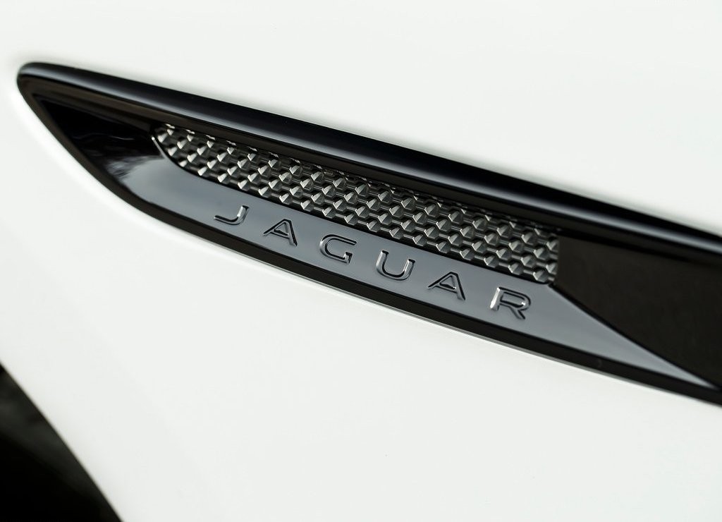 JAGUAR F-PACE, foto 209