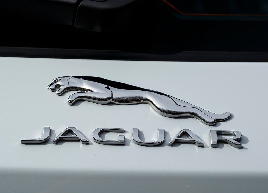 JAGUAR F-PACE, foto 213