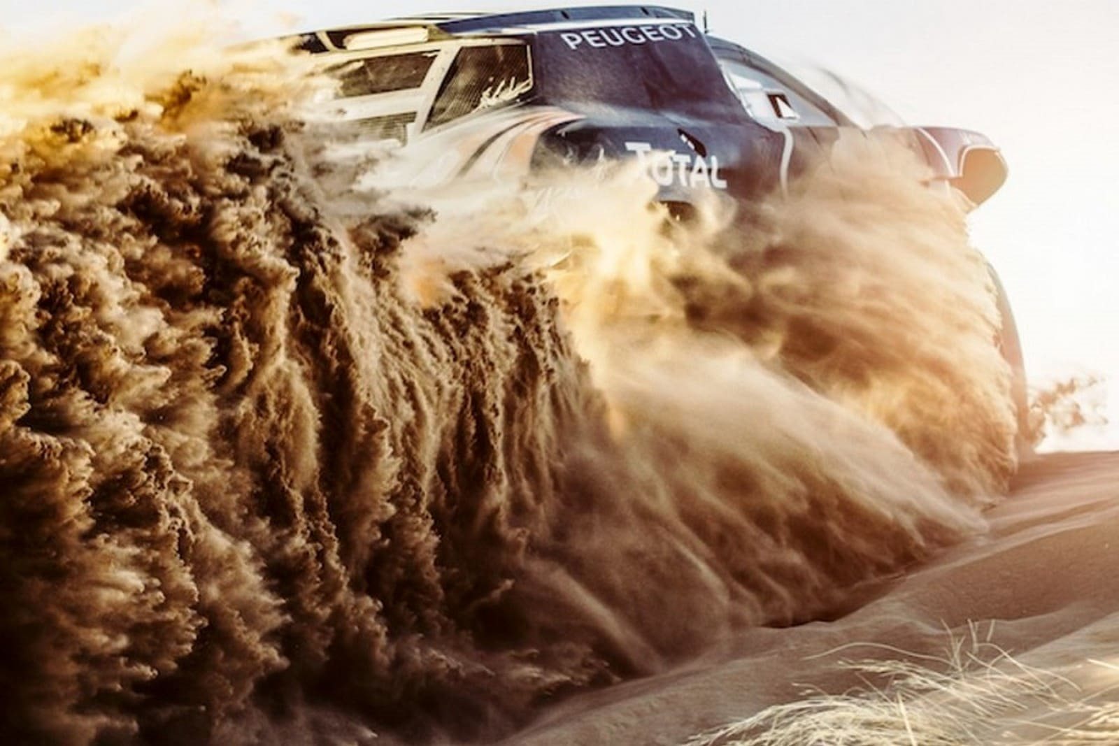 2016 - PEUGEOT 2008 DKR 16, foto 19