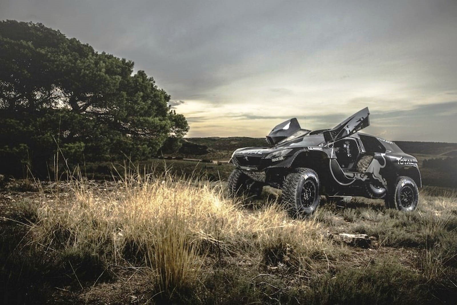 2016 - PEUGEOT 2008 DKR 16, foto 22
