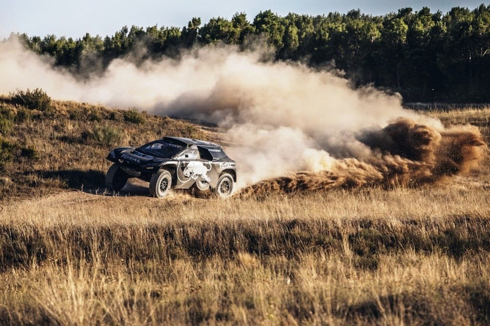 2016 - PEUGEOT 2008 DKR 16, foto 24