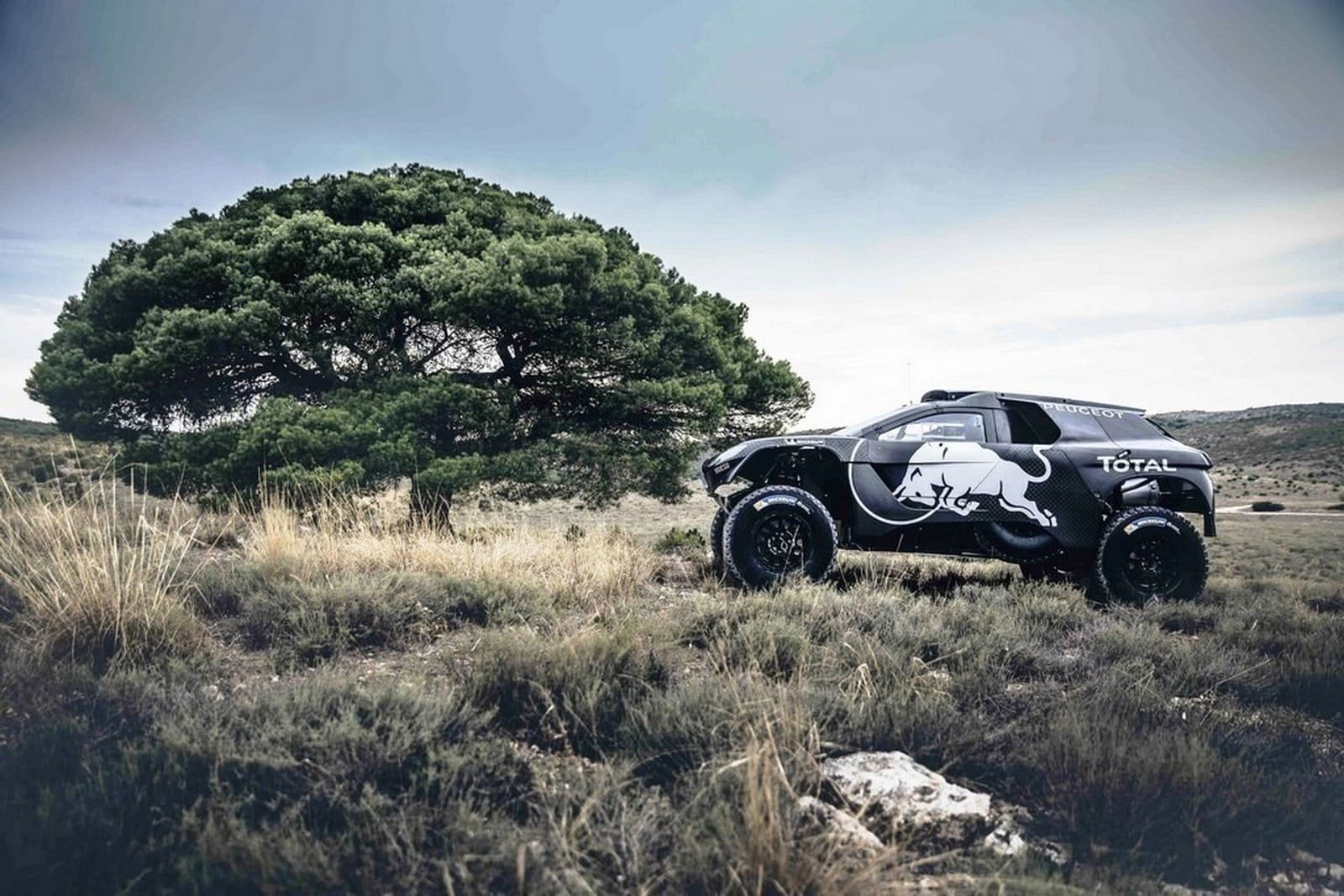 2016 - PEUGEOT 2008 DKR 16, foto 25