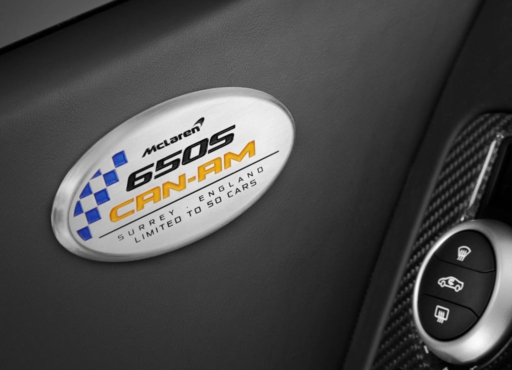 2016 - McLAREN 650S CAN-AM EDITION, foto 10