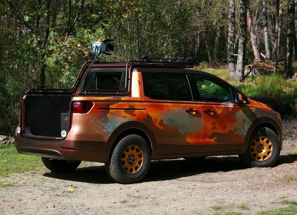 2015 - KIA SEDONA PHOTO SAFARI CONCEPT, foto 5