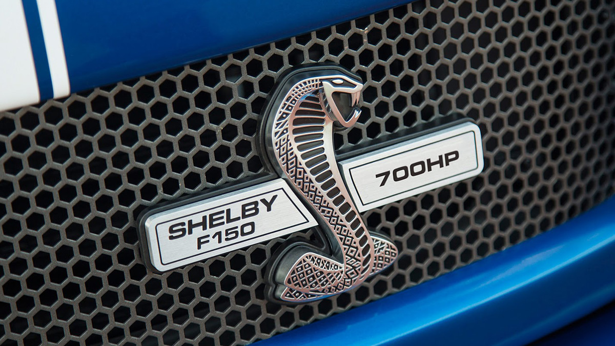2016 - FORD F-150 SHELBY, foto 13