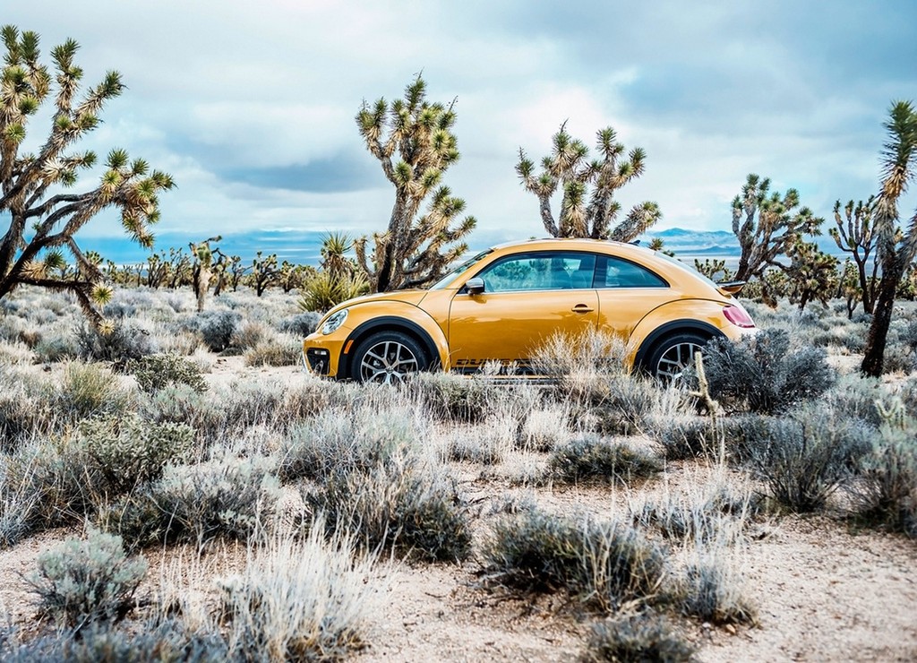2016 - VOLKSWAGEN BEETLE DUNE, foto 19