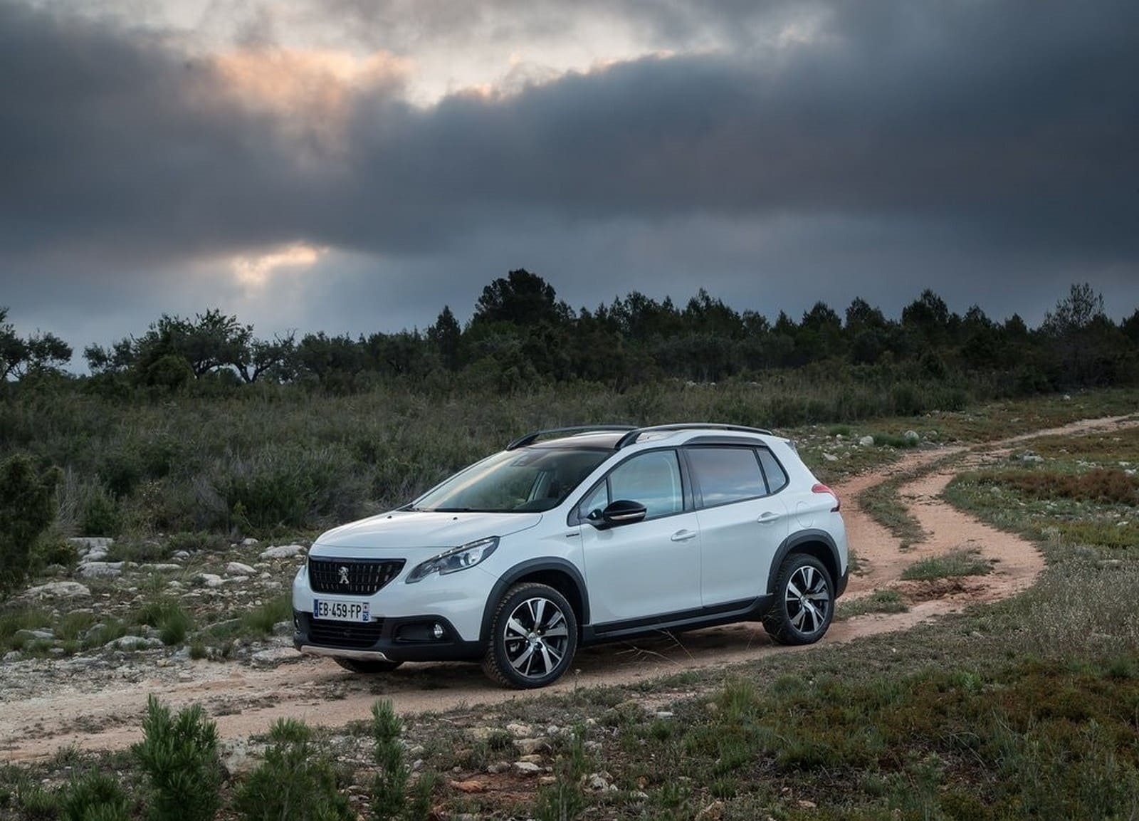 2017 - PEUGEOT 2008, foto 13