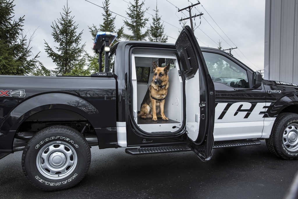 2016 - FORD F-150 SPECIAL SERVICE VEHICLE, foto 3
