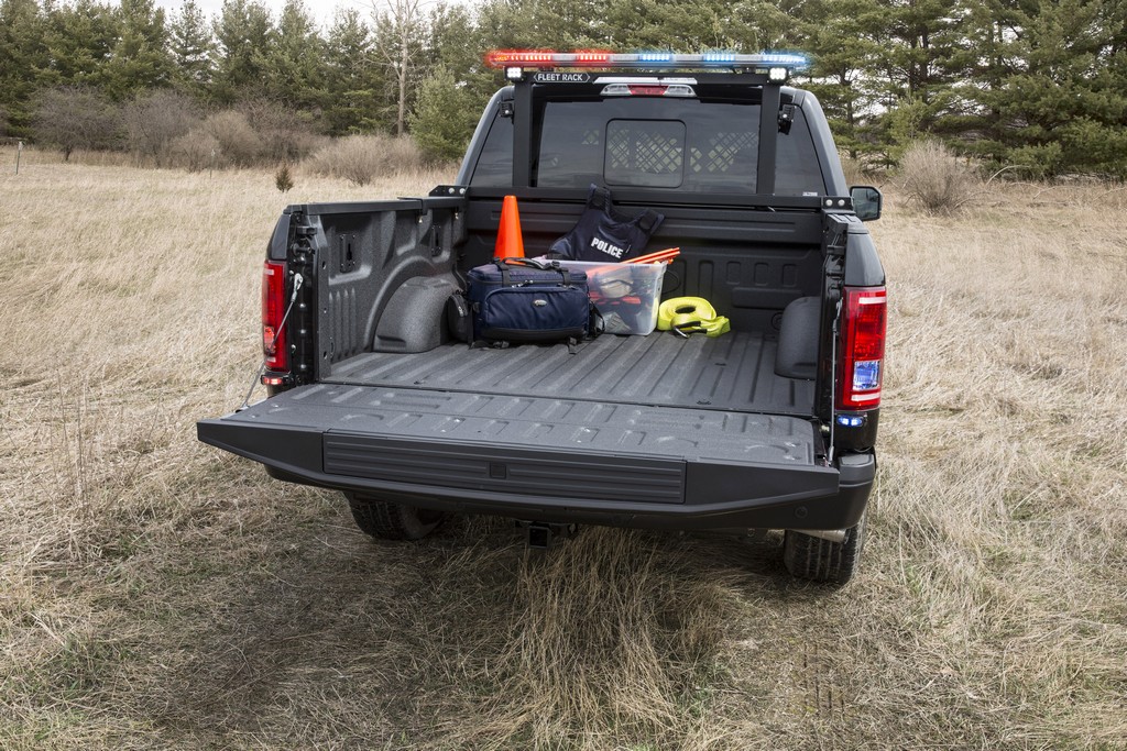 2016 - FORD F-150 SPECIAL SERVICE VEHICLE, foto 4