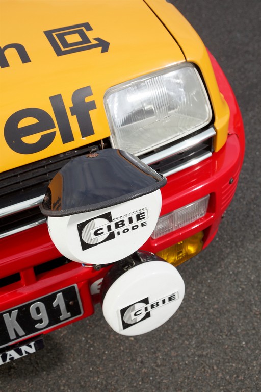 RENAULT 115 ANOS DE PAIXAO PELO AUTOMOBILISMO, foto 52