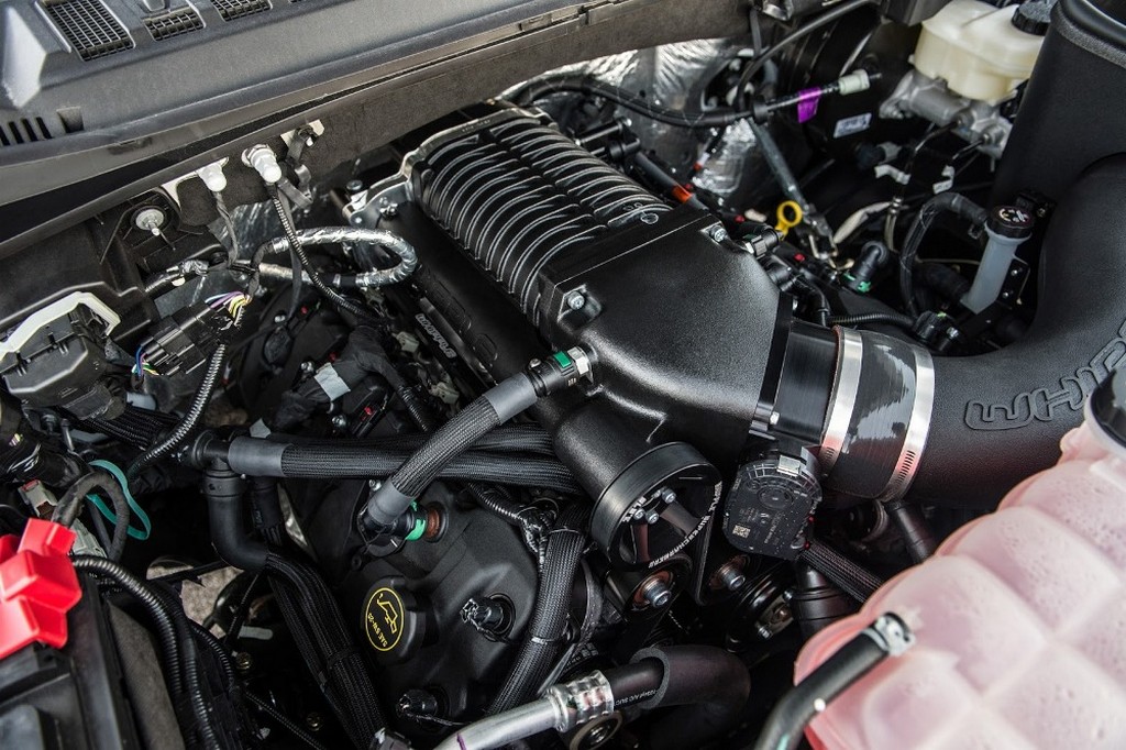2016 - FORD F-150 VELOCIRAPTOR 700 SUPERCHARGED BY HENNESSEY, foto 16