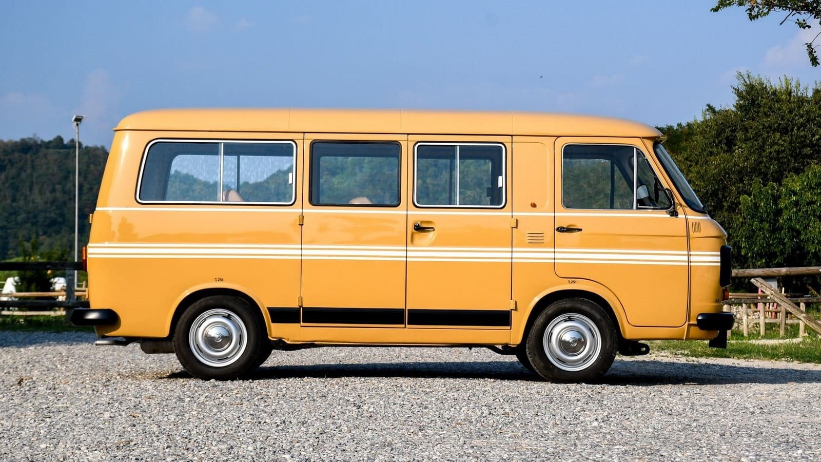 FIAT 238 E PANORAMA, foto 10